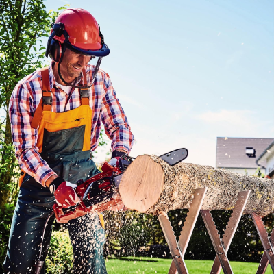 EINHELL ELETTROSEGA GH-EC 2040