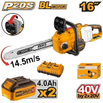 ELETTROSEGA 20V 2AH +2BATT.E CARIC.INGCO